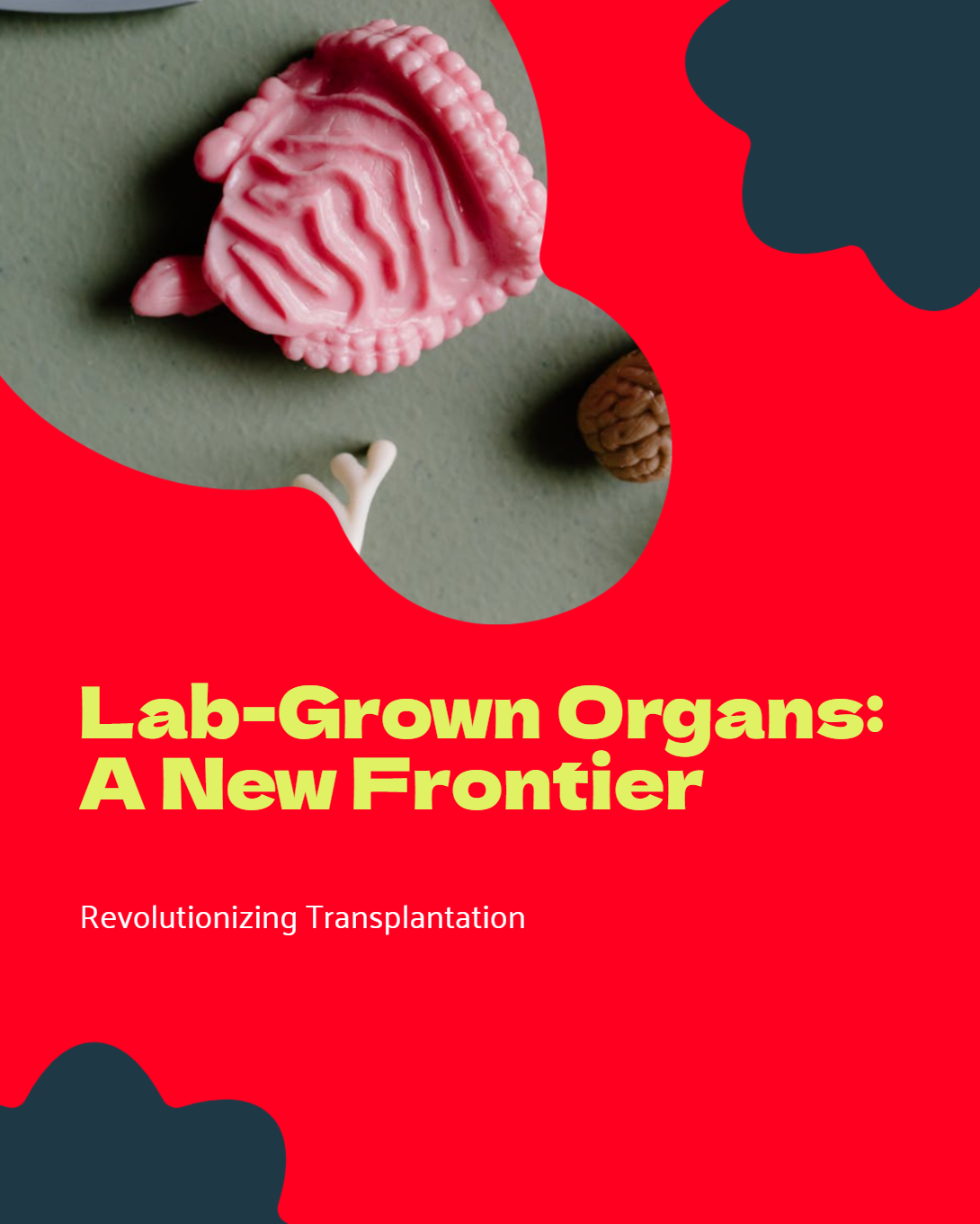 NEW FRONTIERS IN ORGAN TRANSPLANTS: THE ROLE OF LAB-GROWN AND BIOENGINEERED ORGANS